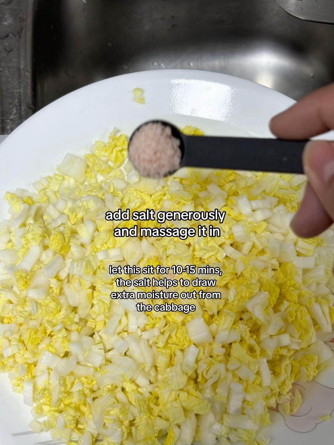 How to make juicy cabbage pork dumplings with napa cabbage and mushroom soup