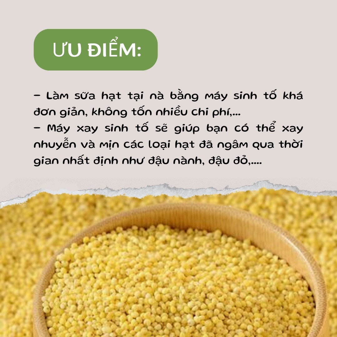 Hướng dẫn cách làm sữa hạt tại nhà bằng máy xay sinh tố, so sánh ưu nhược điểm và các lưu ý khi nấu