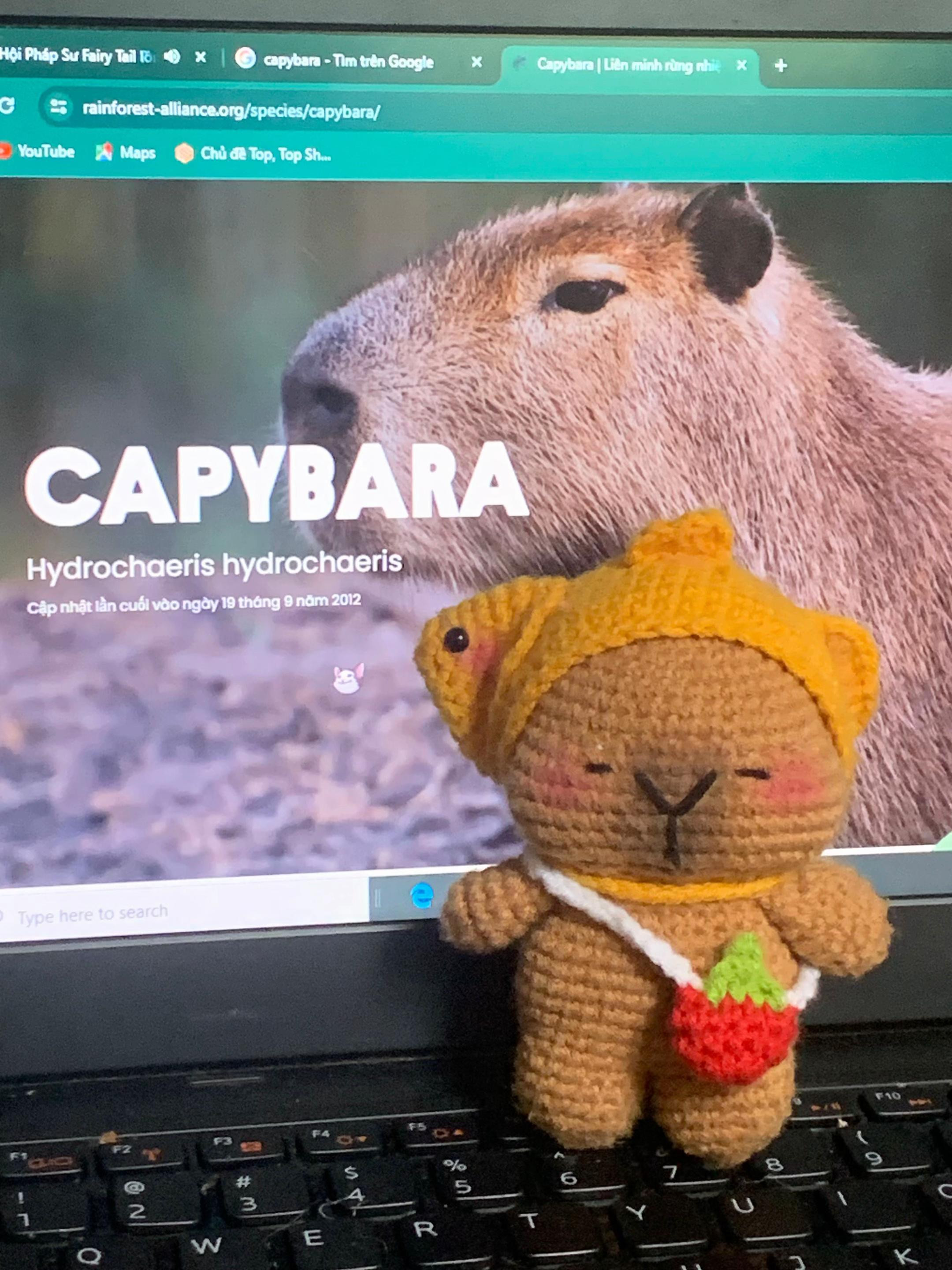 Hướng dẫn chi tiết cách móc len búp bê Capybara dễ thương với mũ vàng và giỏ dâu tây