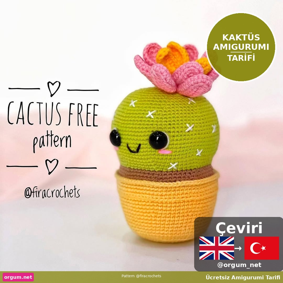 Hướng dẫn chi tiết cách móc len búp bê xương rồng Kaktüs Amigurumi dễ thương với hoa màu hồng và vàng