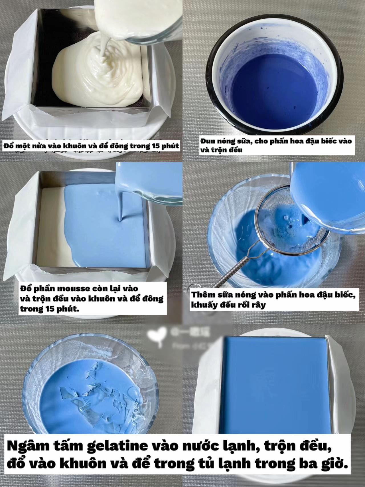 Hướng dẫn làm bánh Mousse Sữa Chua màu xanh không lò nướng, đế Oreo và thạch hoa đậu biếc