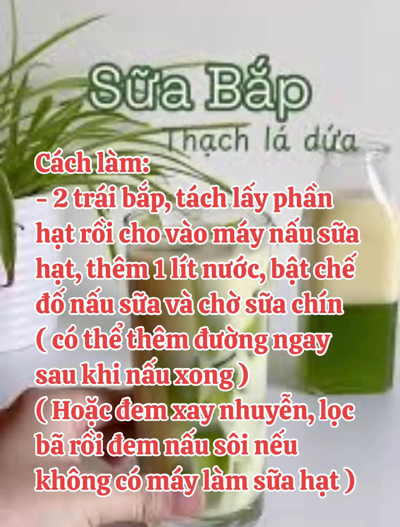 Hướng dẫn làm sữa bắp thạch lá dứa thơm ngon tại nhà