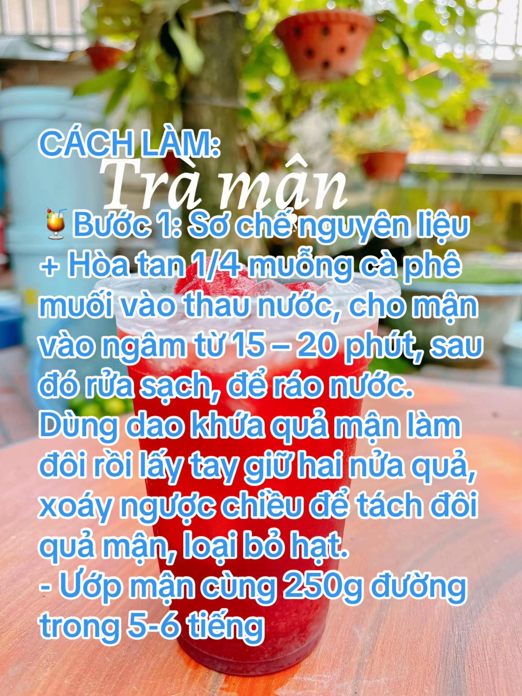 Hướng dẫn làm trà mận giải khát với hồng trà, sirup việt quất và trân châu trắng