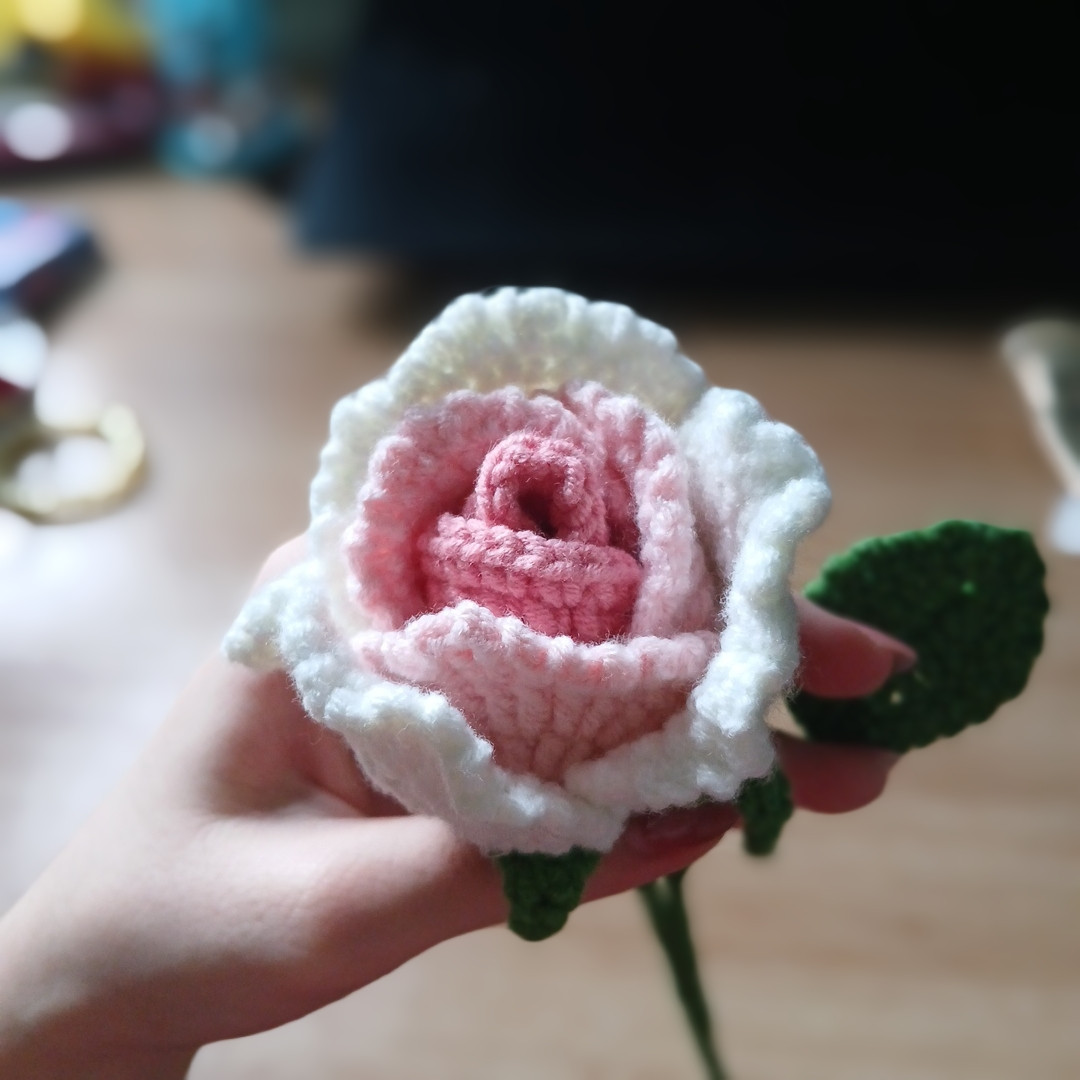 Hướng dẫn móc hoa hồng len màu trắng và hồng