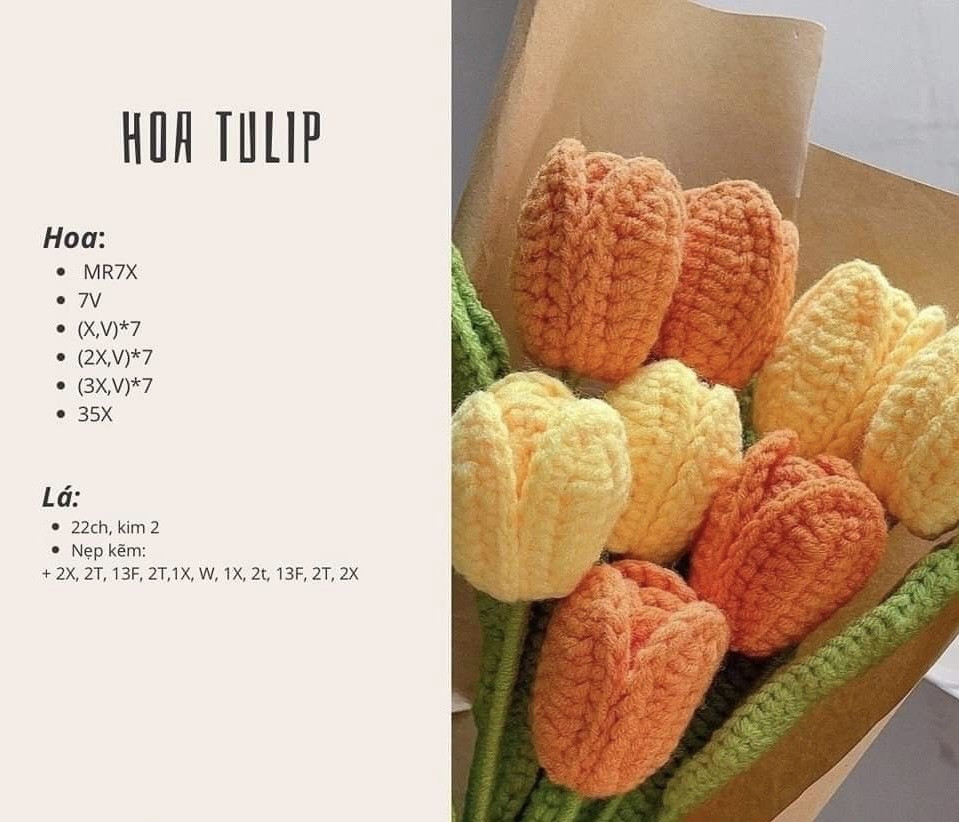 Hướng dẫn móc hoa Tulip và Bông Tulip