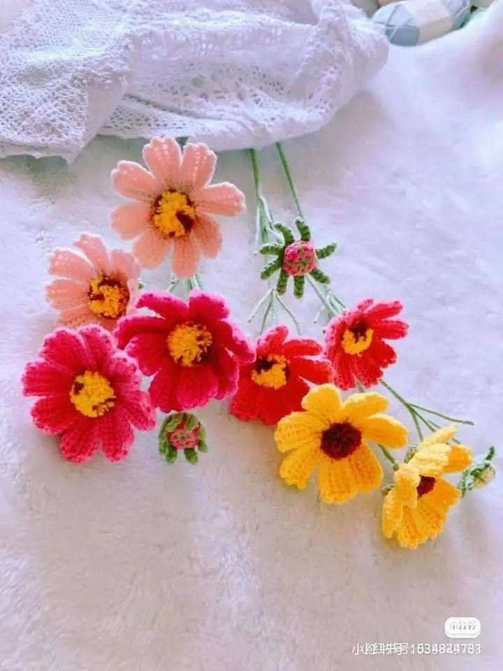Hướng dẫn móc len bó hoa daisy nhiều màu sắc
