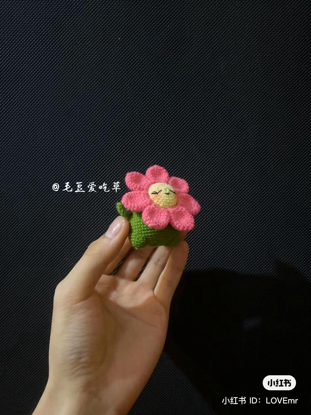 Hướng dẫn móc len búp bê hoa Edamame dễ thương