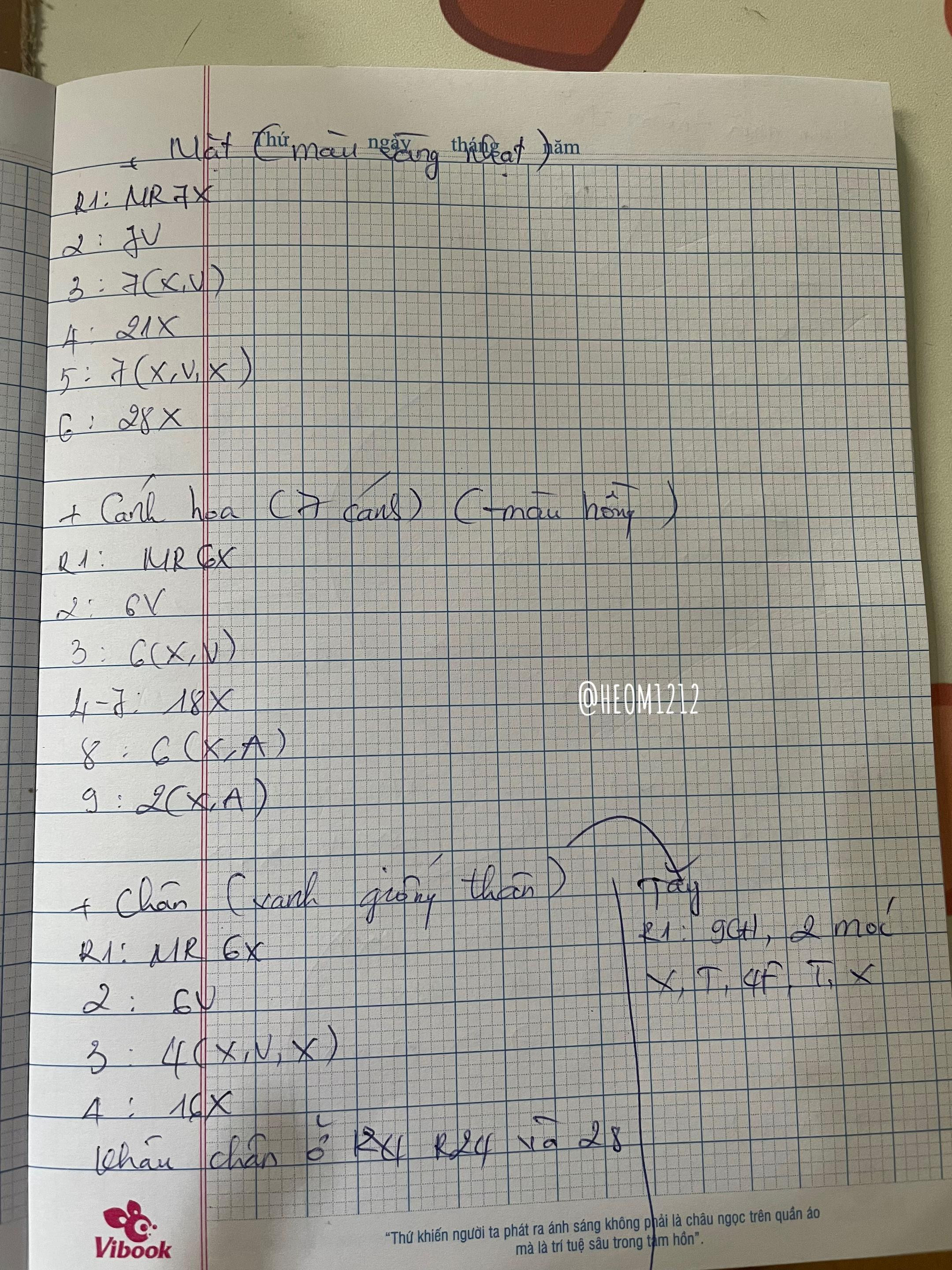 Hướng dẫn móc len búp bê hoa Edamame dễ thương