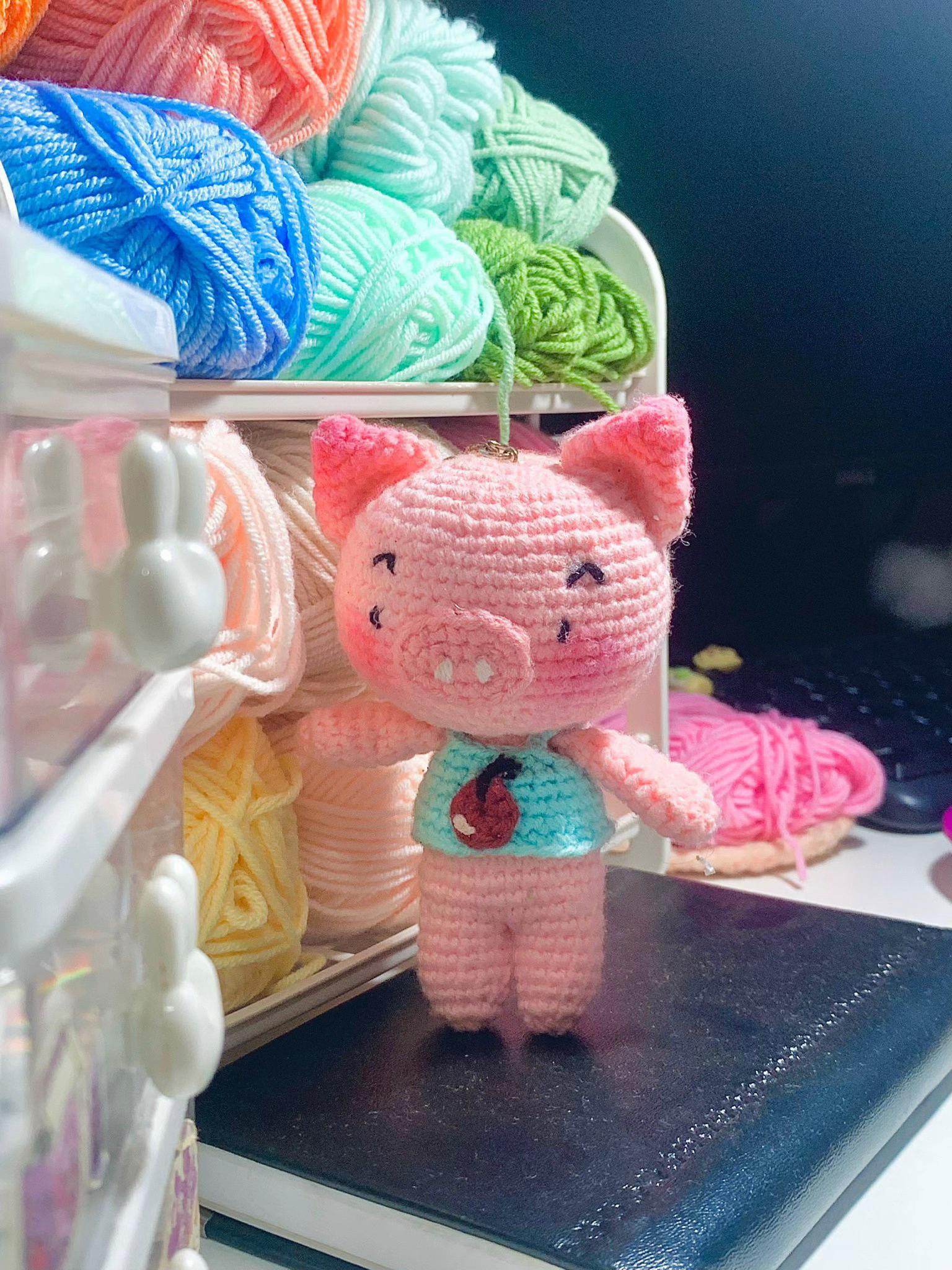 Hướng dẫn móc len búp bê lợn màu hồng dễ thương với áo xanh và táo đỏ