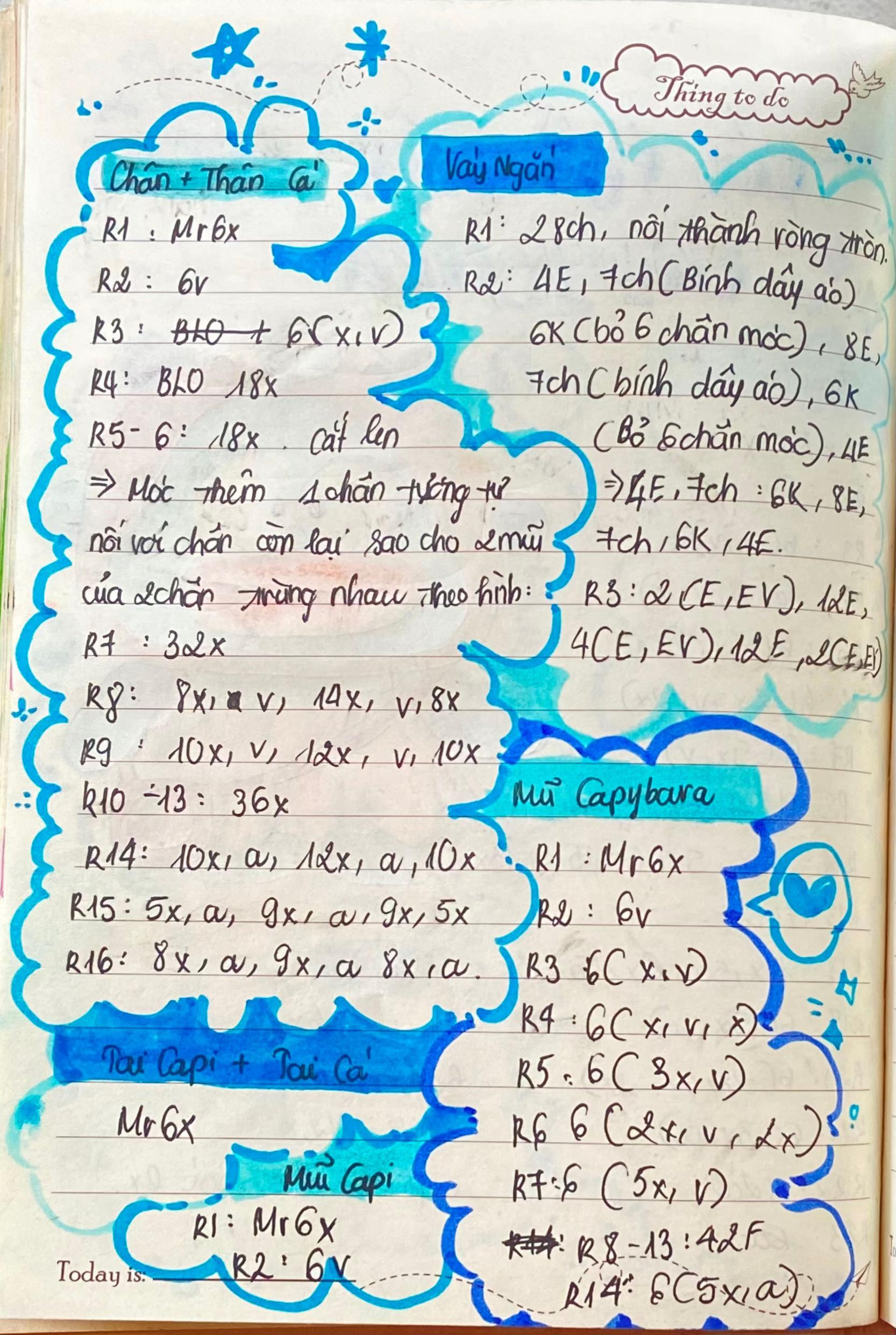 Hướng dẫn móc len Cá Heo đội mũ Capybara với chart chi tiết từng phần