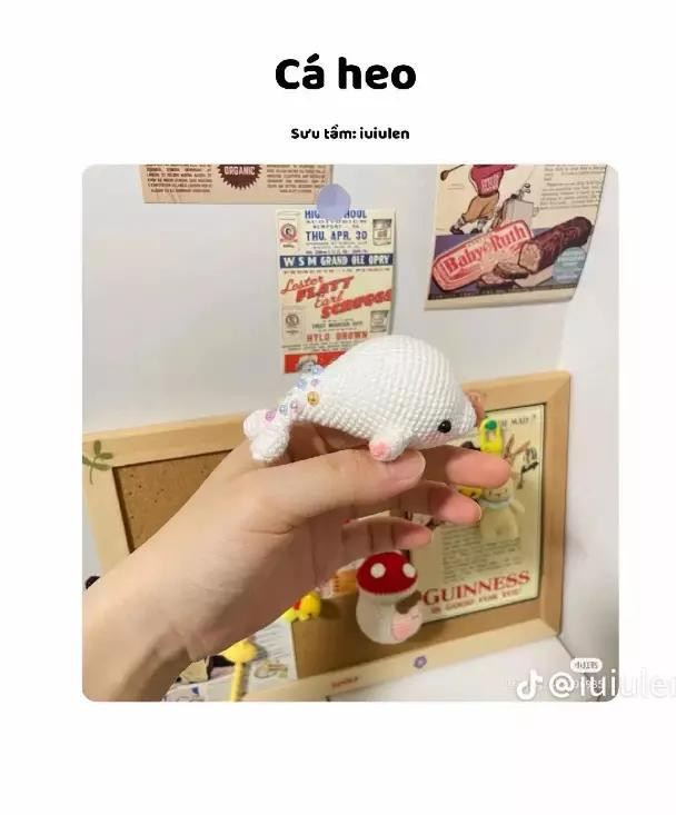 Hướng dẫn móc len cá heo trắng dễ thương - Chart chi tiết từng bước