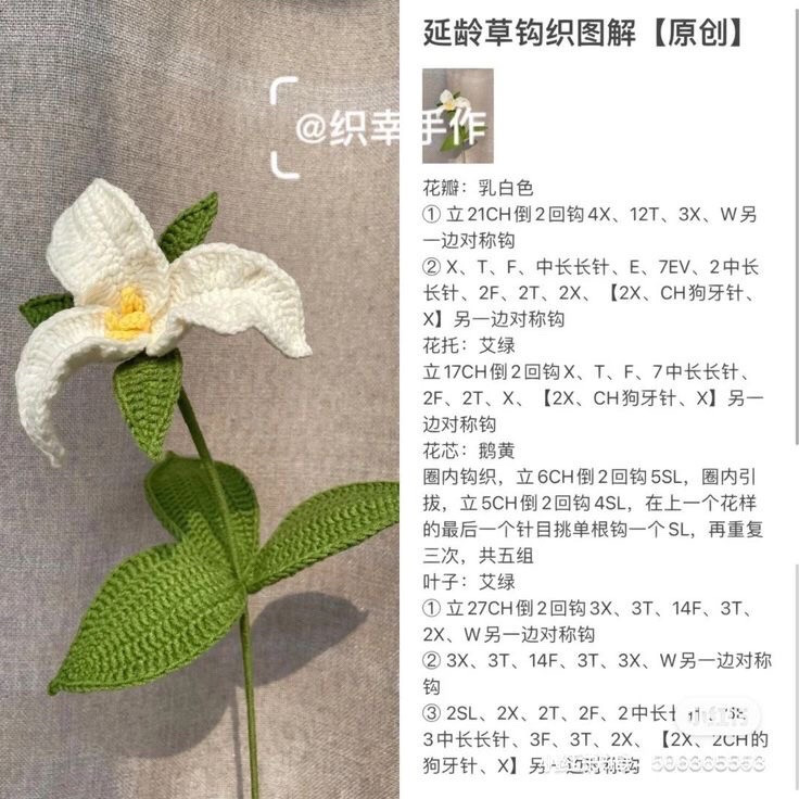 Hướng dẫn móc len các loại hoa: Bông, Hoa Hồng, Hải Đường