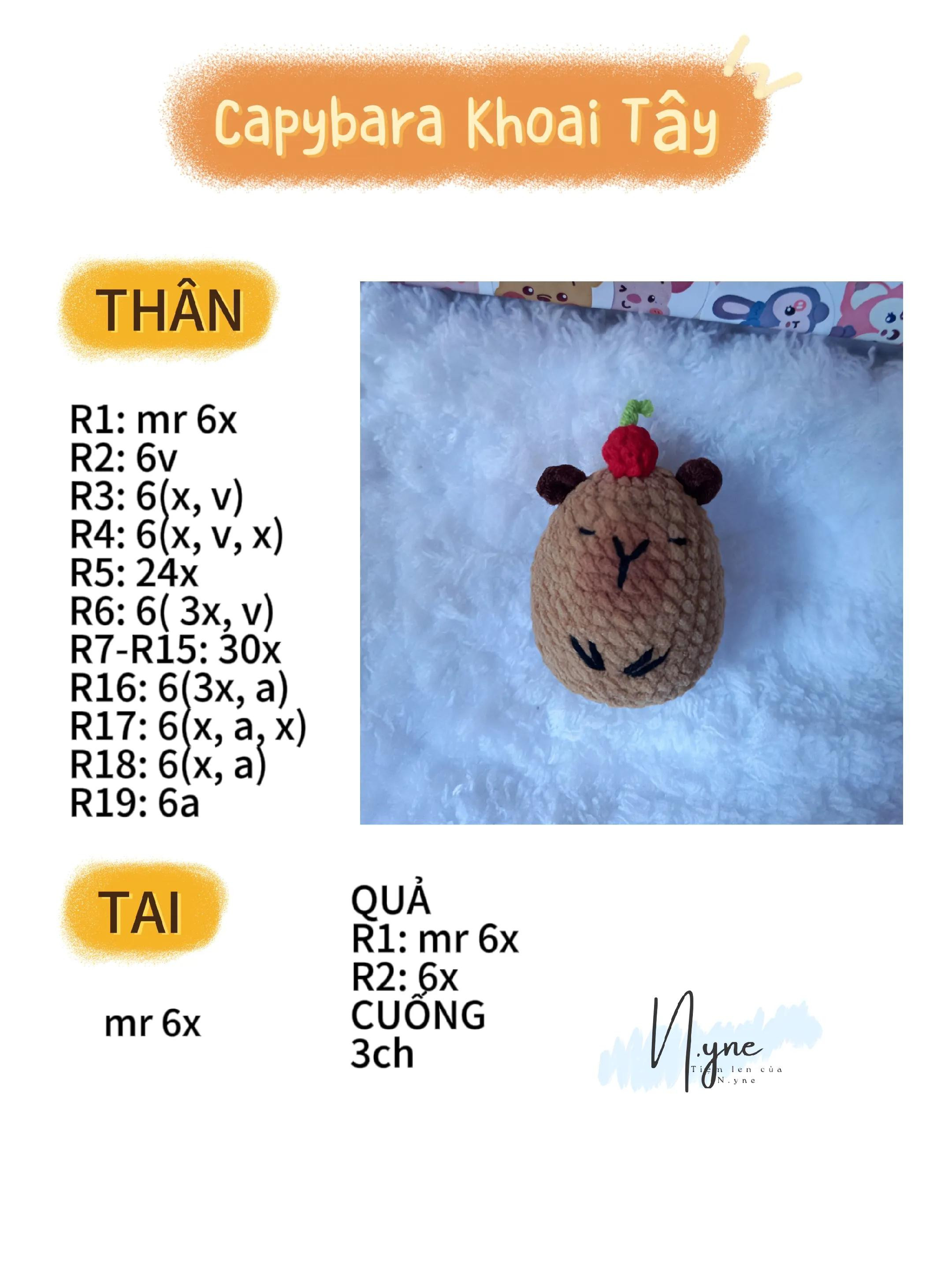 Hướng dẫn móc len Capybara Khoai Tây dễ thương