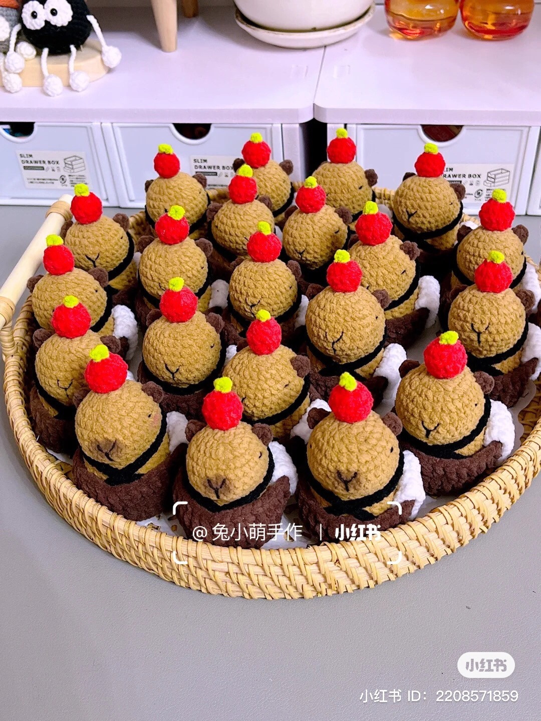 Hướng dẫn móc len Capybara ngồi chậu gỗ