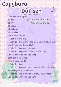 Hướng dẫn móc len Capybara ngồi trên hoa sen