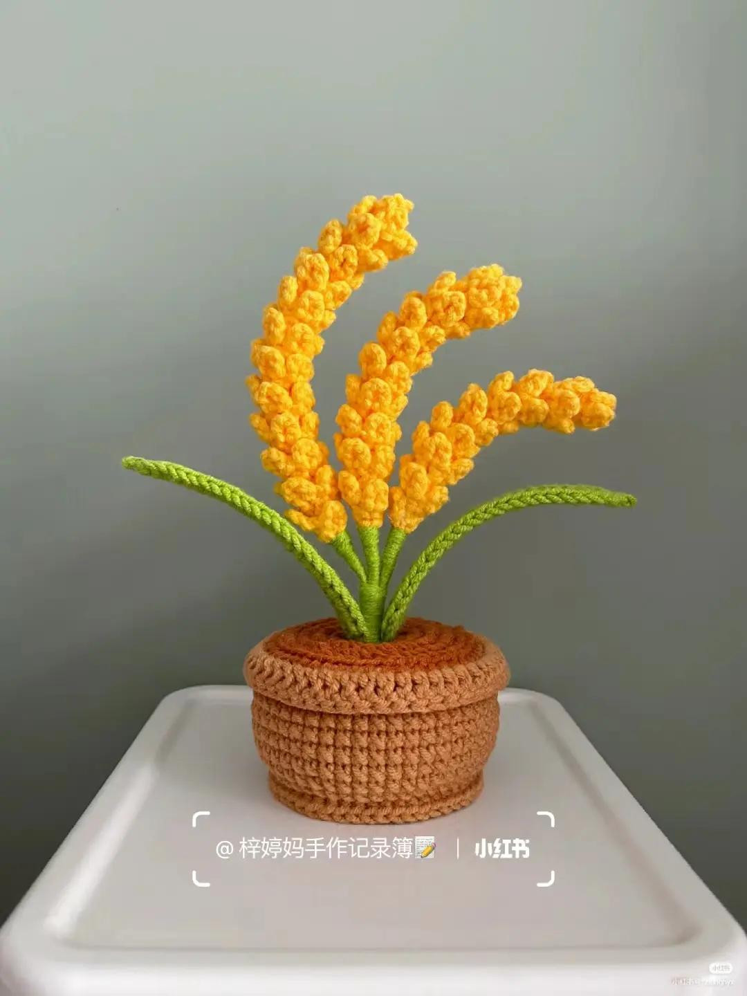 Hướng dẫn móc len chậu hoa lúa vàng