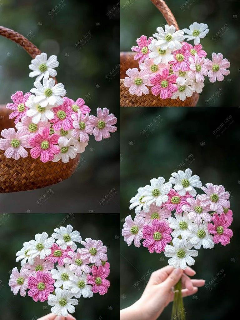 Hướng dẫn móc len hoa Cosmos và hoa sao nhái nhiều màu sắc
