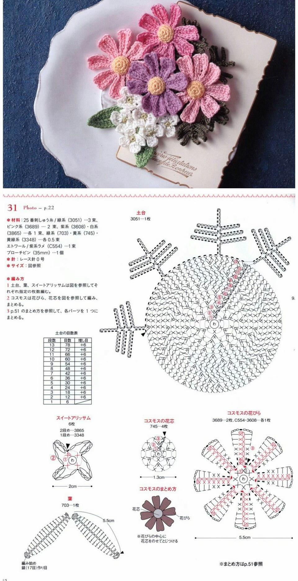 Hướng dẫn móc len hoa Cosmos và hoa sao nhái nhiều màu sắc