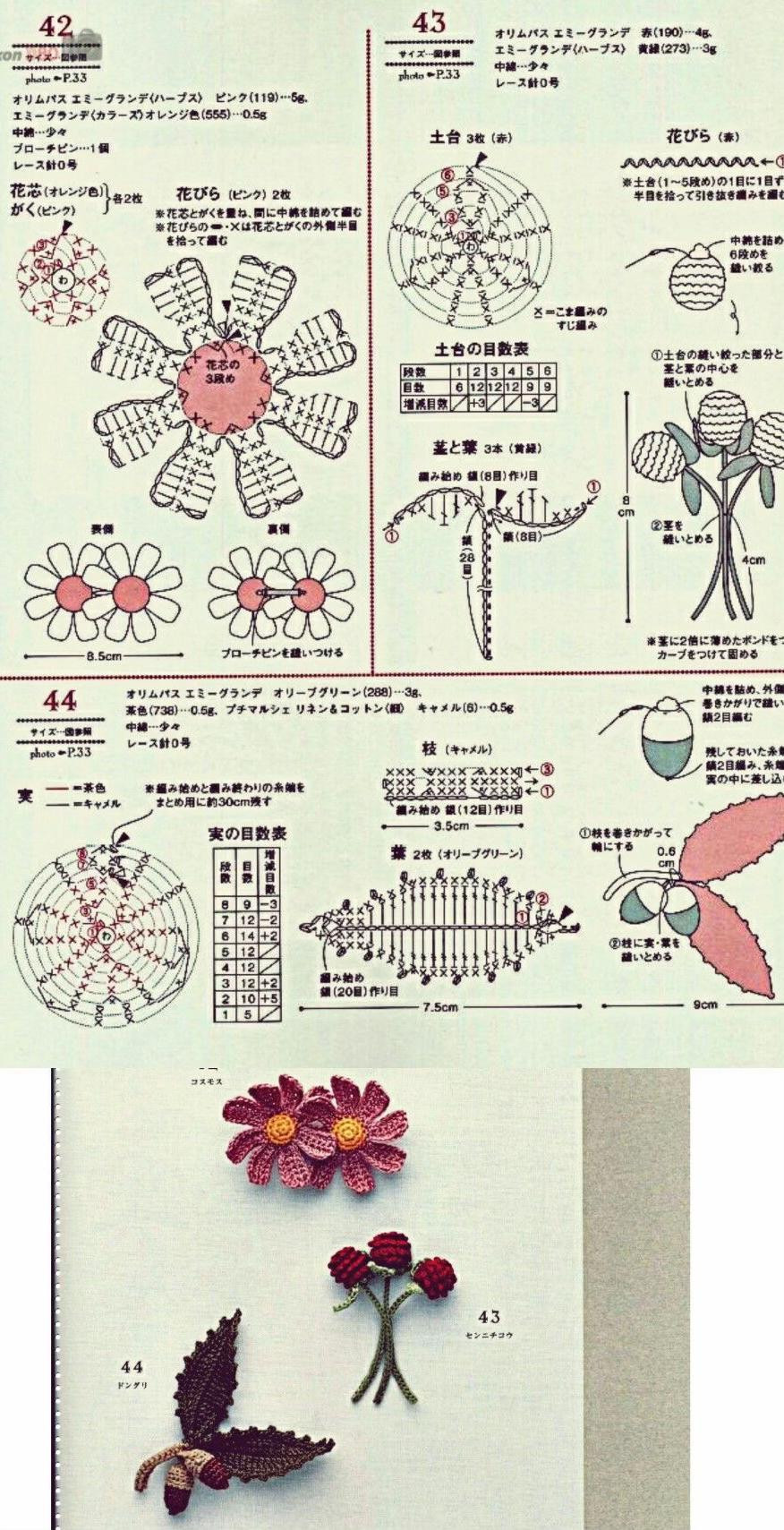 Hướng dẫn móc len hoa Cosmos và hoa sao nhái nhiều màu sắc