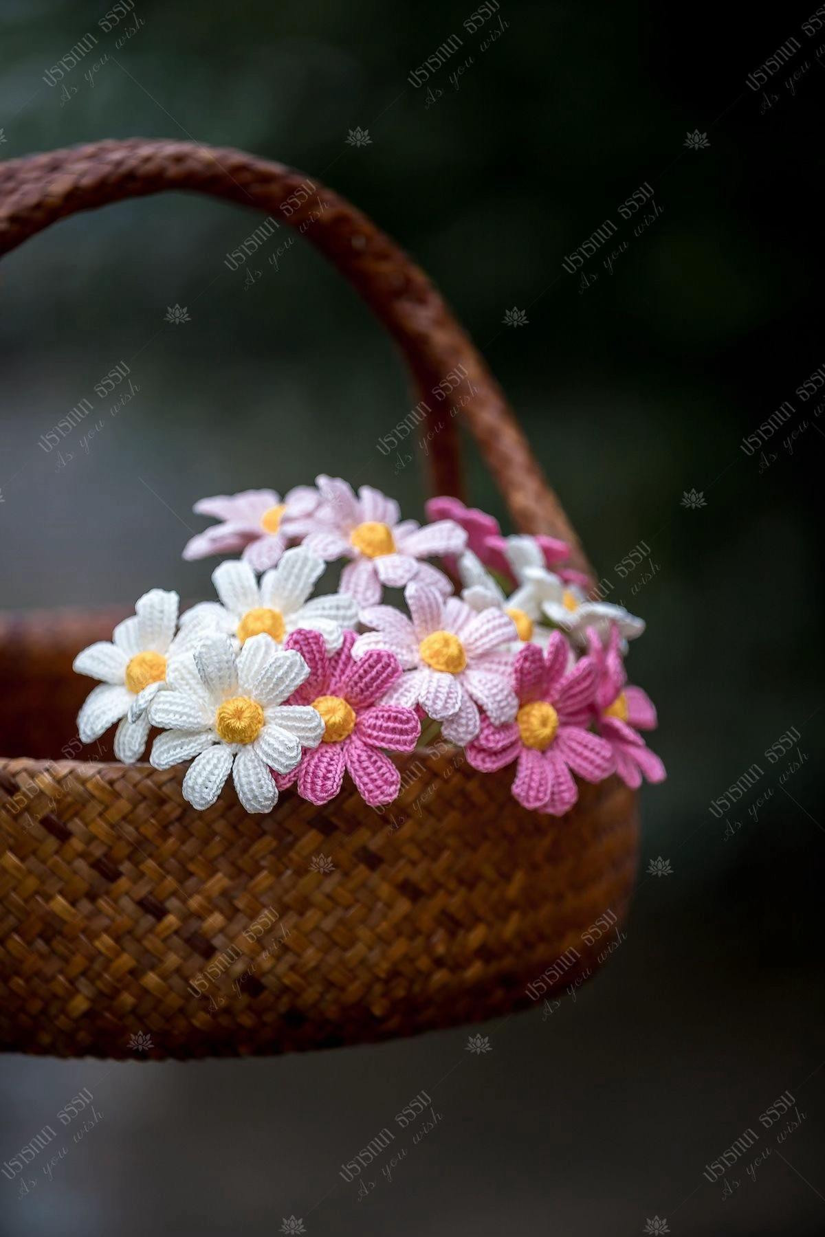 Hướng dẫn móc len hoa Cosmos và hoa sao nhái nhiều màu sắc