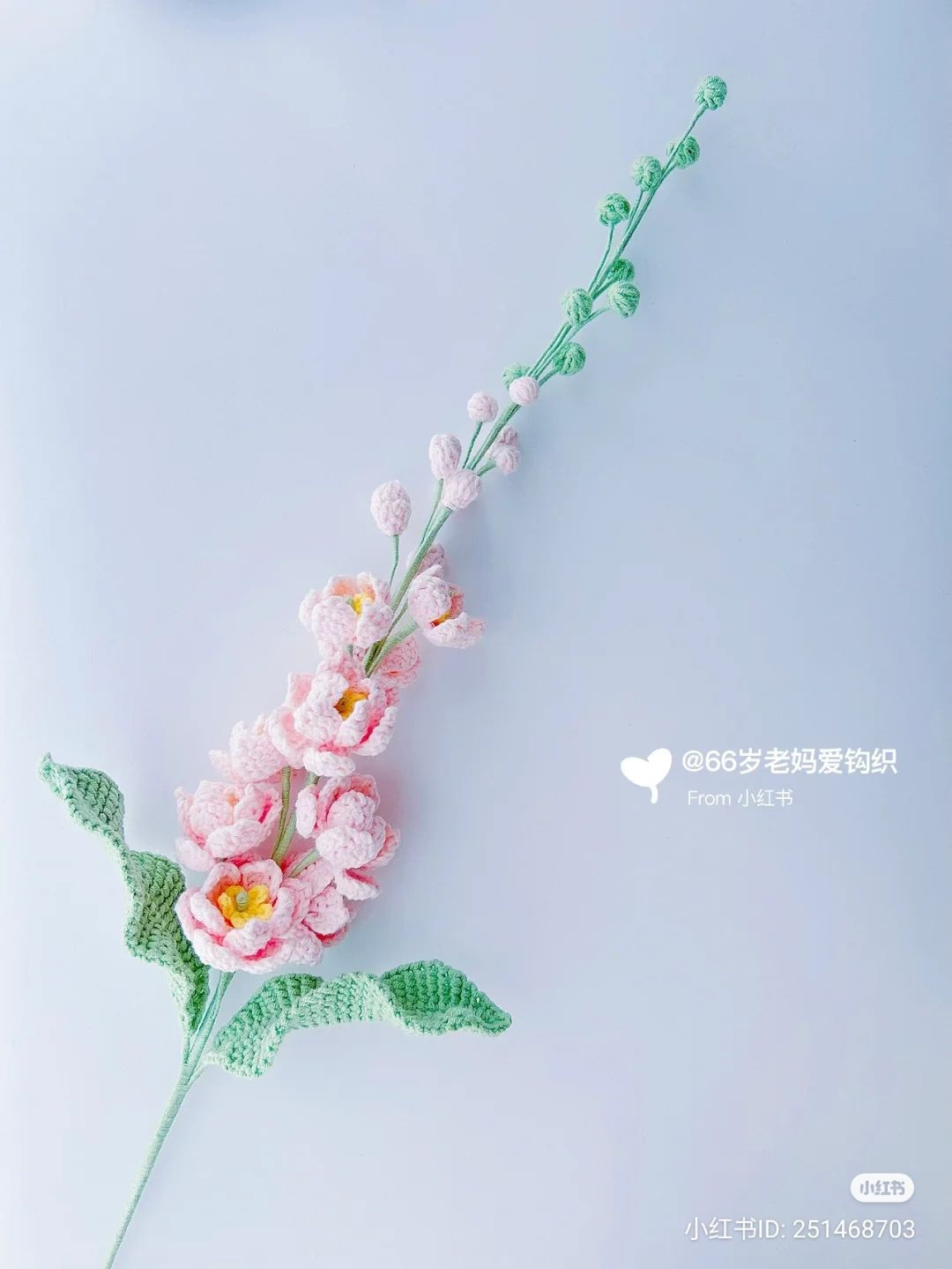 Hướng dẫn móc len hoa Đại Phi Yến màu vàng và hồng