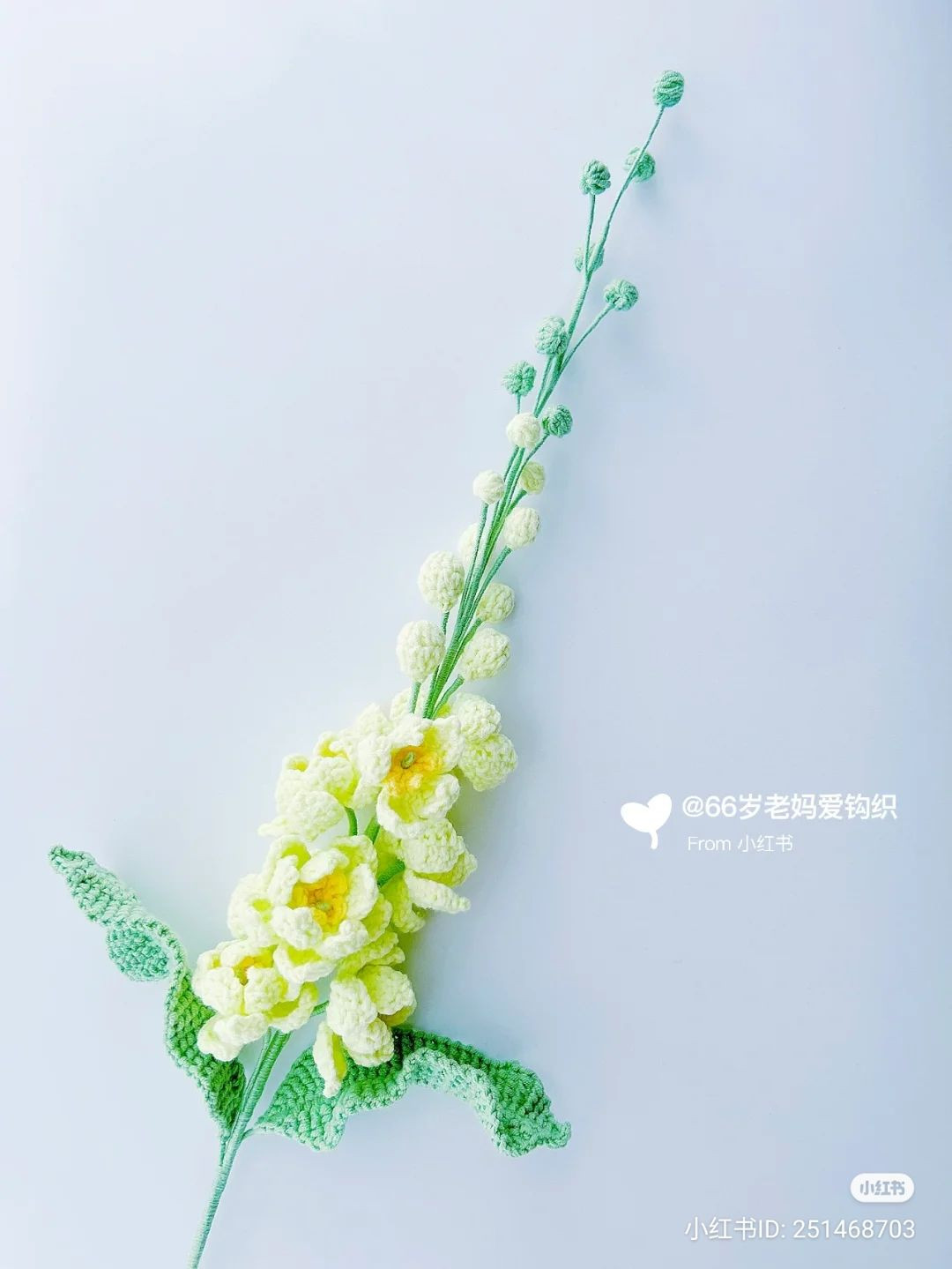 Hướng dẫn móc len hoa Đại Phi Yến màu vàng và hồng