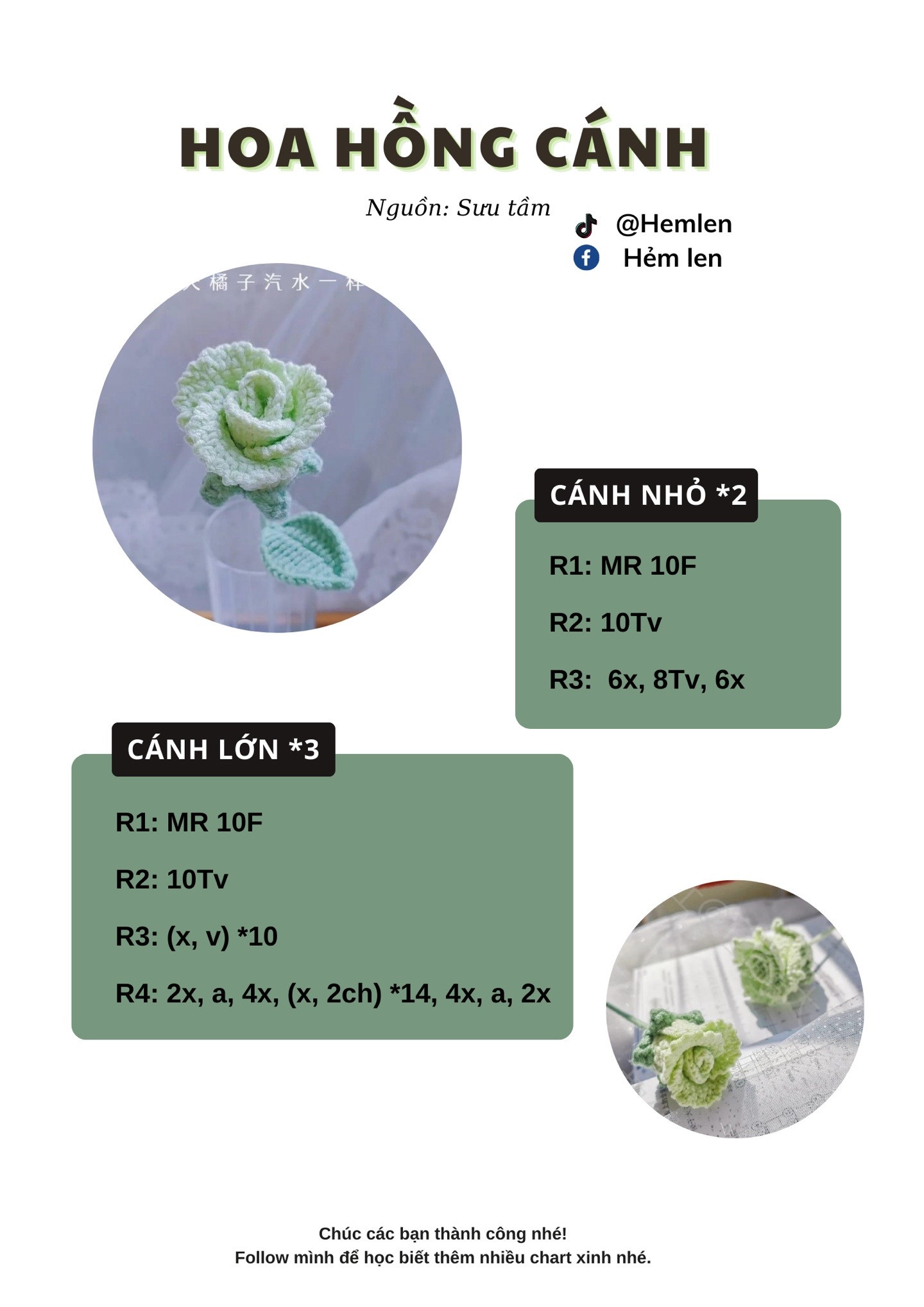 Hướng dẫn móc len Hoa Hồng Cánh màu xanh pastel