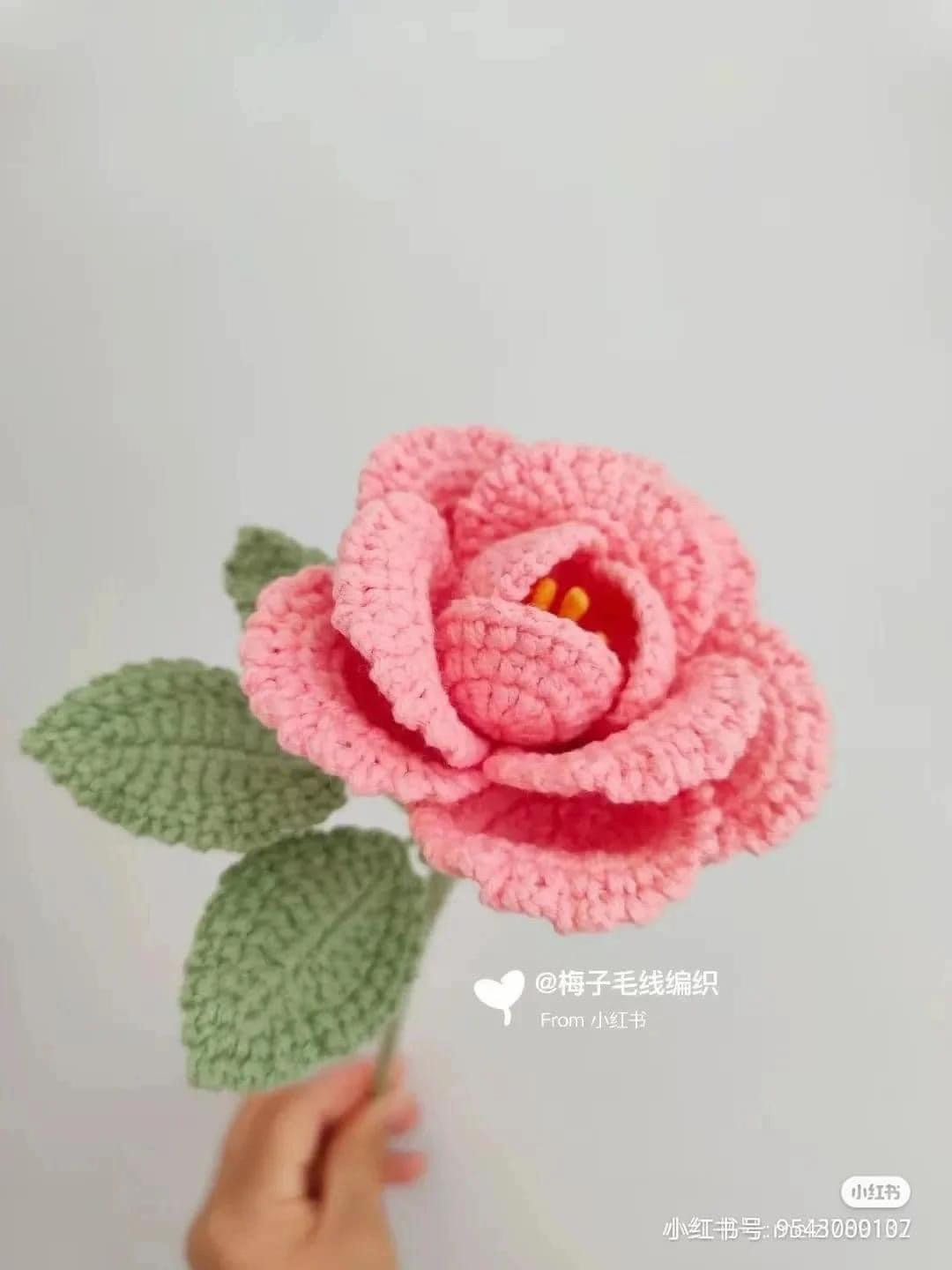 Hướng dẫn móc len Hoa Hồng Pháp và Mini chi tiết