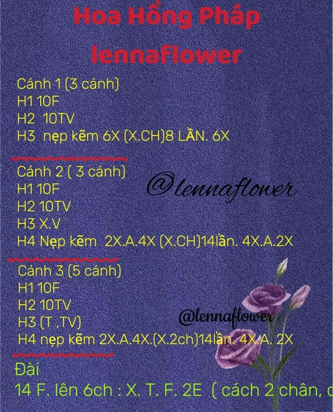 Hướng dẫn móc len Hoa Hồng Pháp và Mini chi tiết