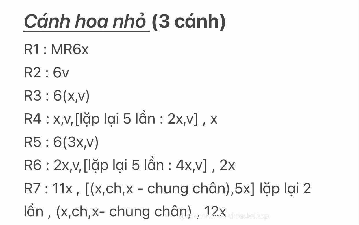 Hướng dẫn móc len Hoa Hồng Pháp và Mini chi tiết