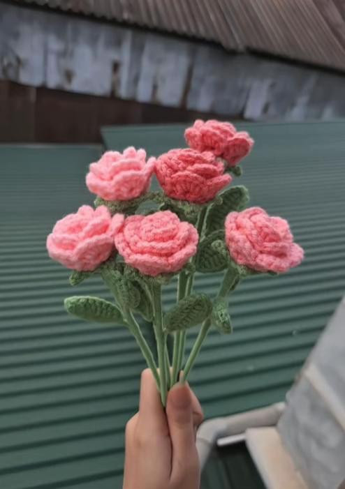 Hướng dẫn móc len Hoa Hồng Pháp và Mini chi tiết