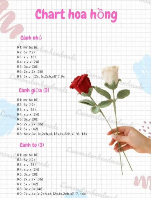 Hướng dẫn móc len Hoa Hồng Pháp và Mini chi tiết
