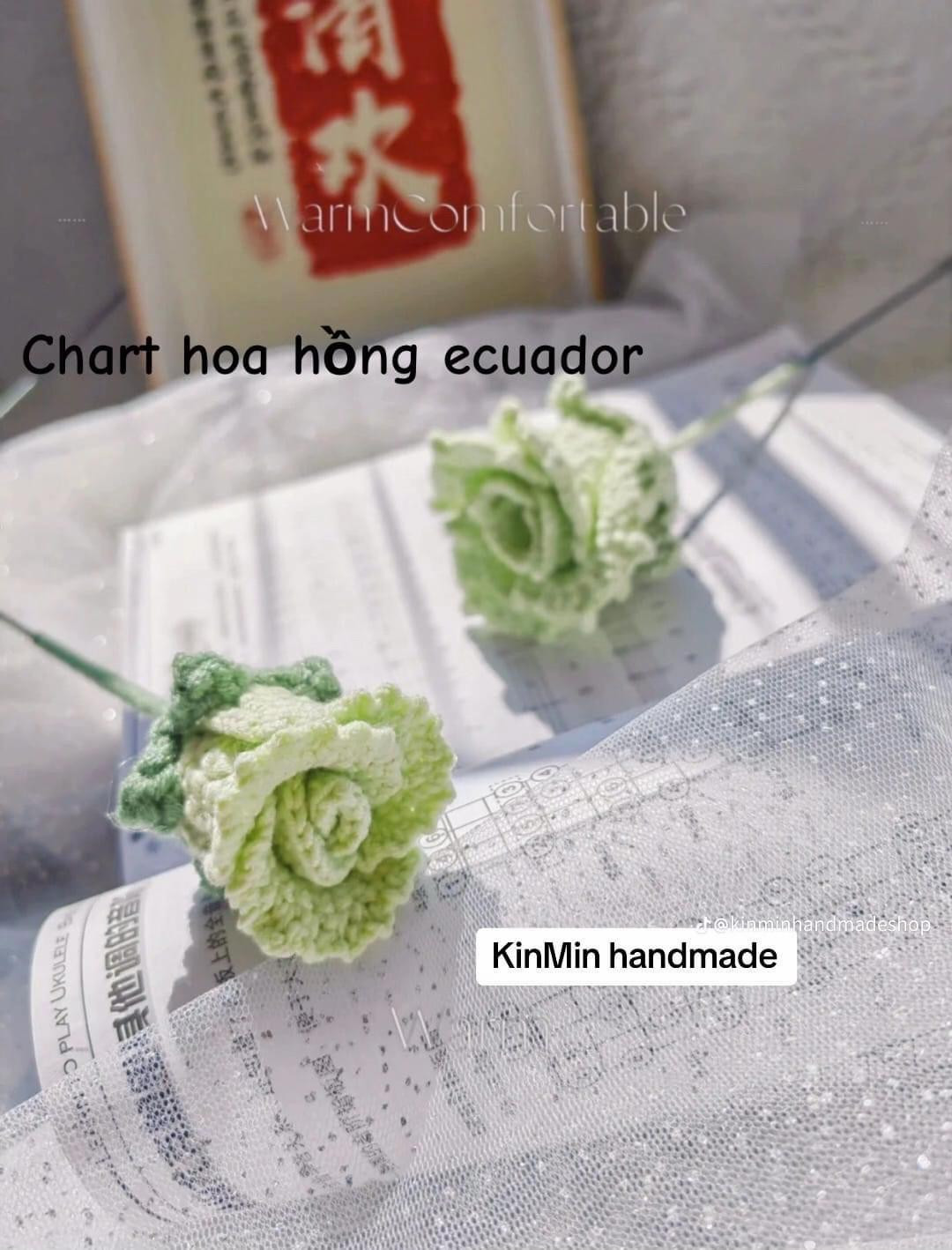 Hướng dẫn móc len Hoa Hồng Pháp và Mini chi tiết