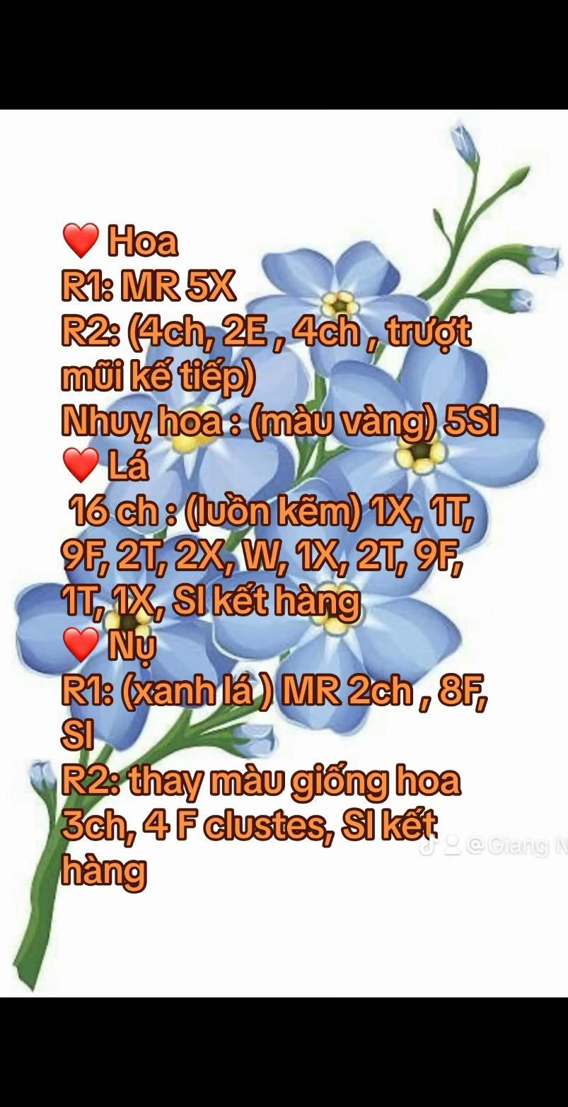 Hướng dẫn móc len hoa lưu ly nhiều màu sắc