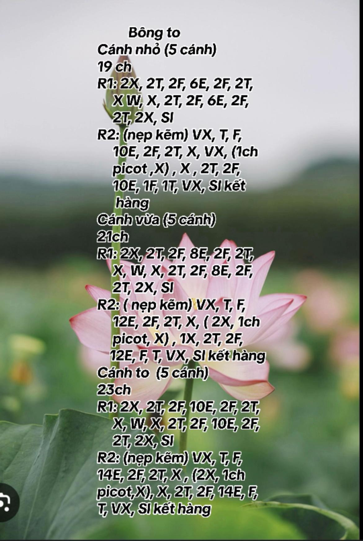 Hướng dẫn móc len hoa sen hồng và lá xanh chi tiết từng hàng