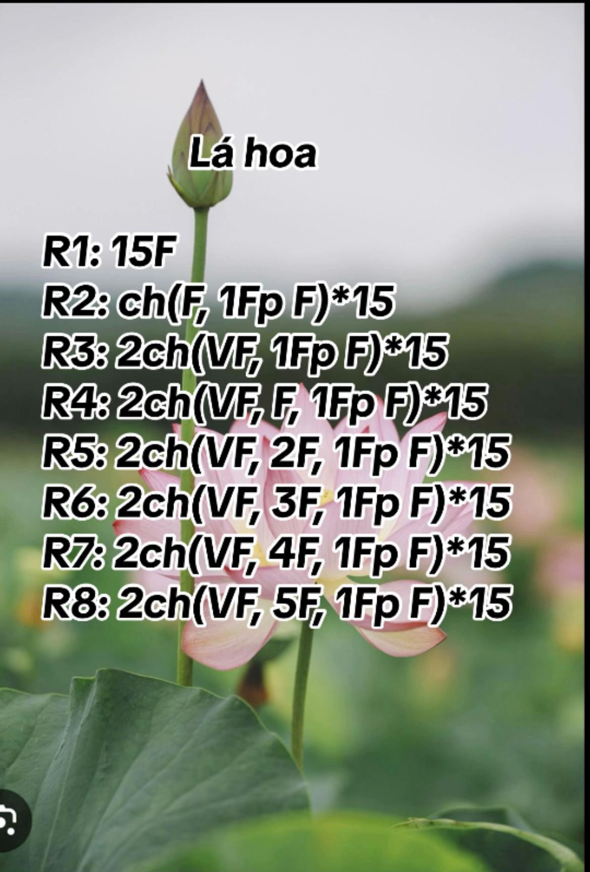 Hướng dẫn móc len hoa sen hồng và lá xanh chi tiết từng hàng