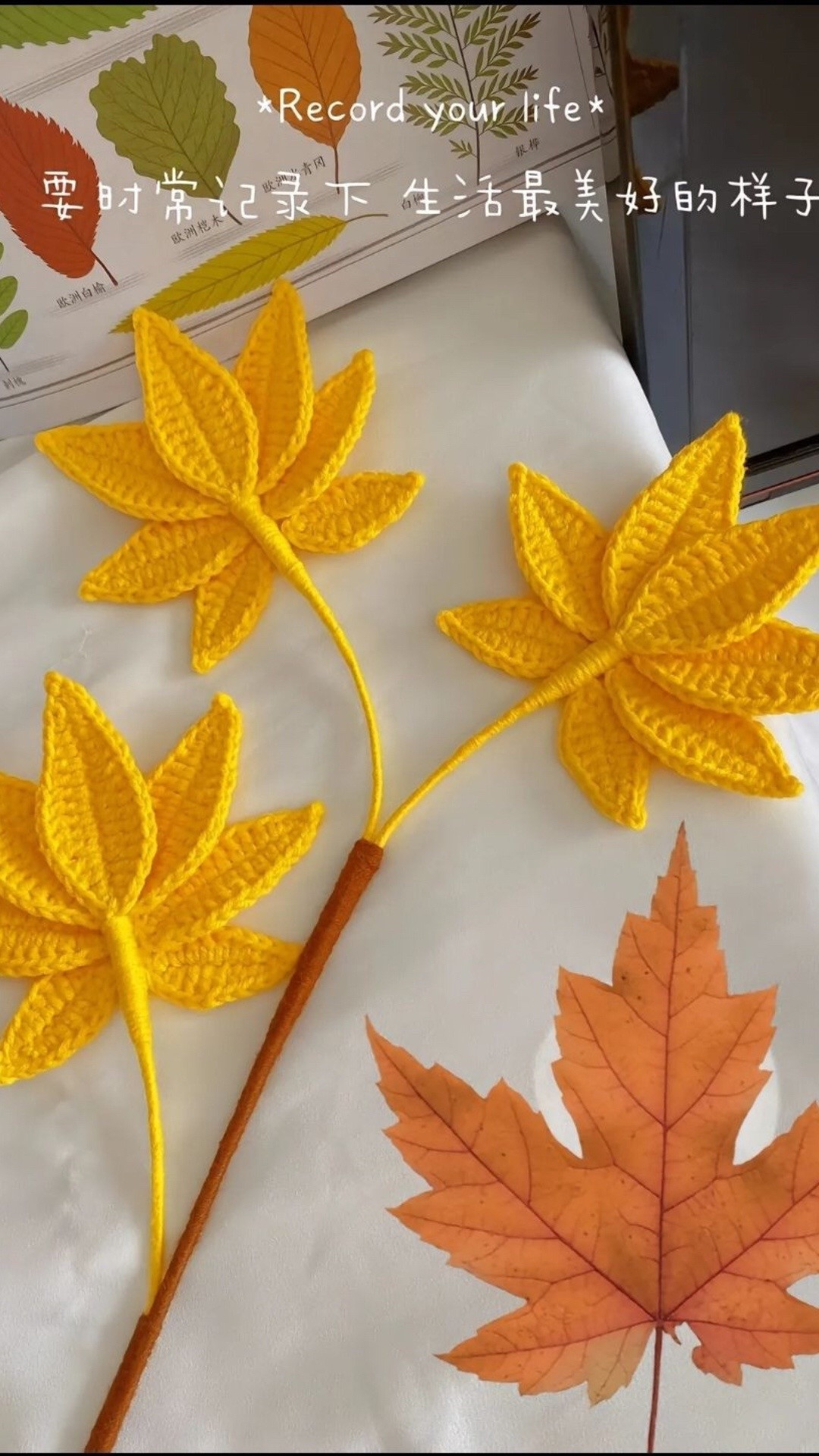 Hướng dẫn móc len lá phong màu vàng