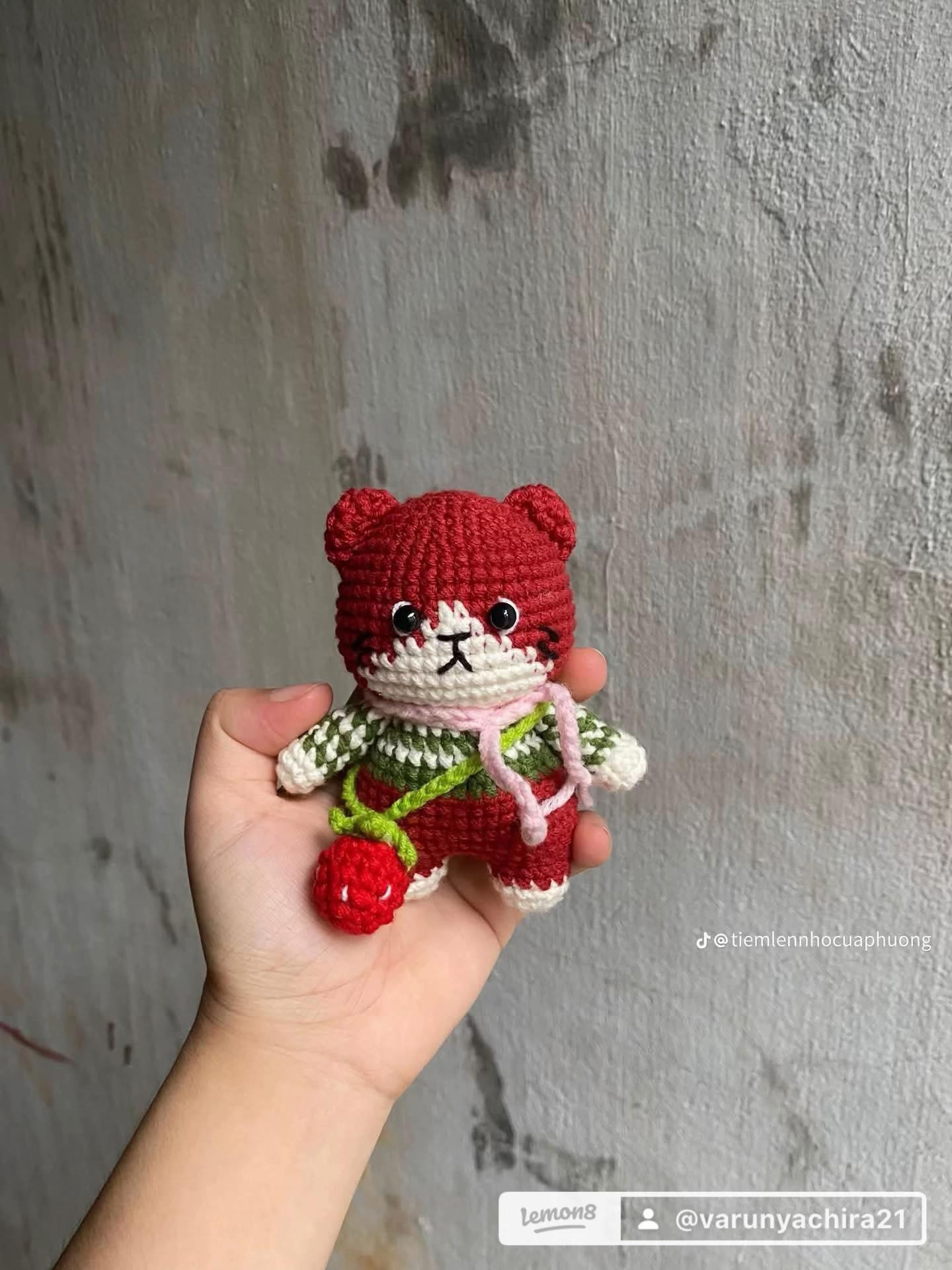 Hướng dẫn móc len Mèo mùa đông dễ thương