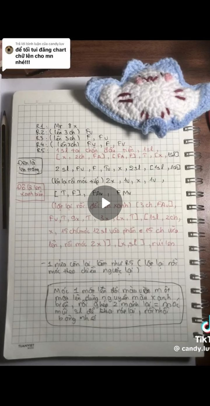 Hướng dẫn móc len mèo Totoro dễ thương bằng chart chữ tay