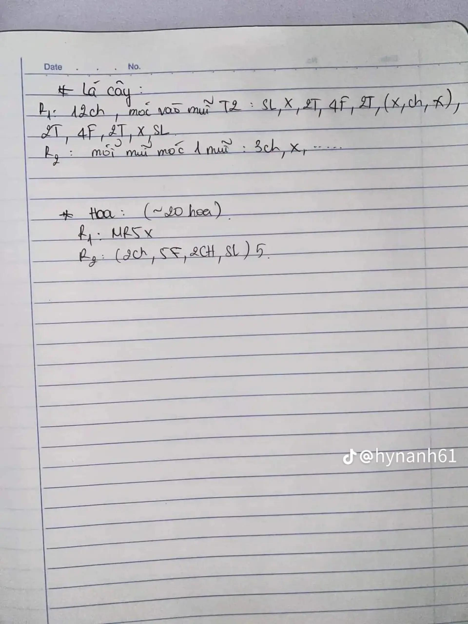 Hướng dẫn móc len Mochi Hoa Lưu Ly màu hồng tím dễ thương với chart chi tiết