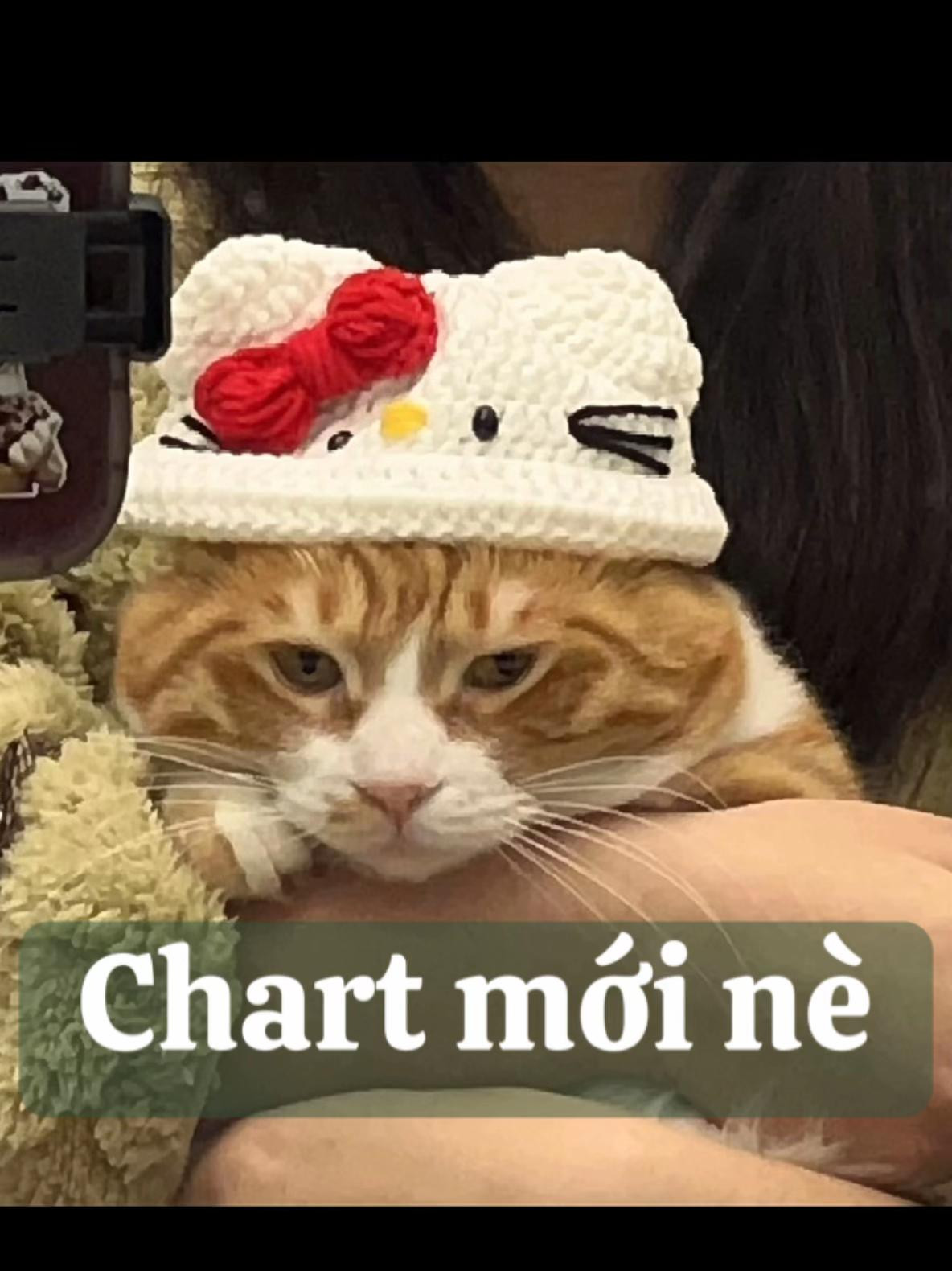 Hướng dẫn móc len mũ Hello Kitty cho mèo, gồm phiên bản thường và lông xù