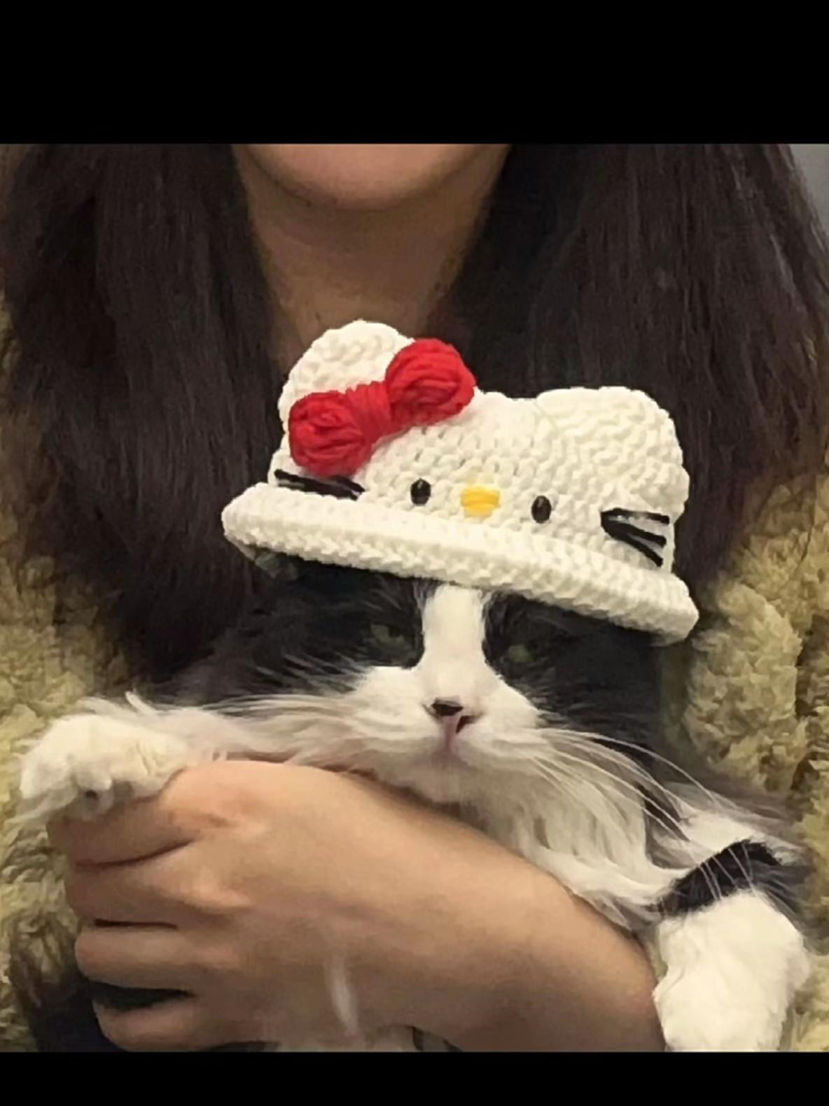 Hướng dẫn móc len mũ Hello Kitty cho mèo, gồm phiên bản thường và lông xù