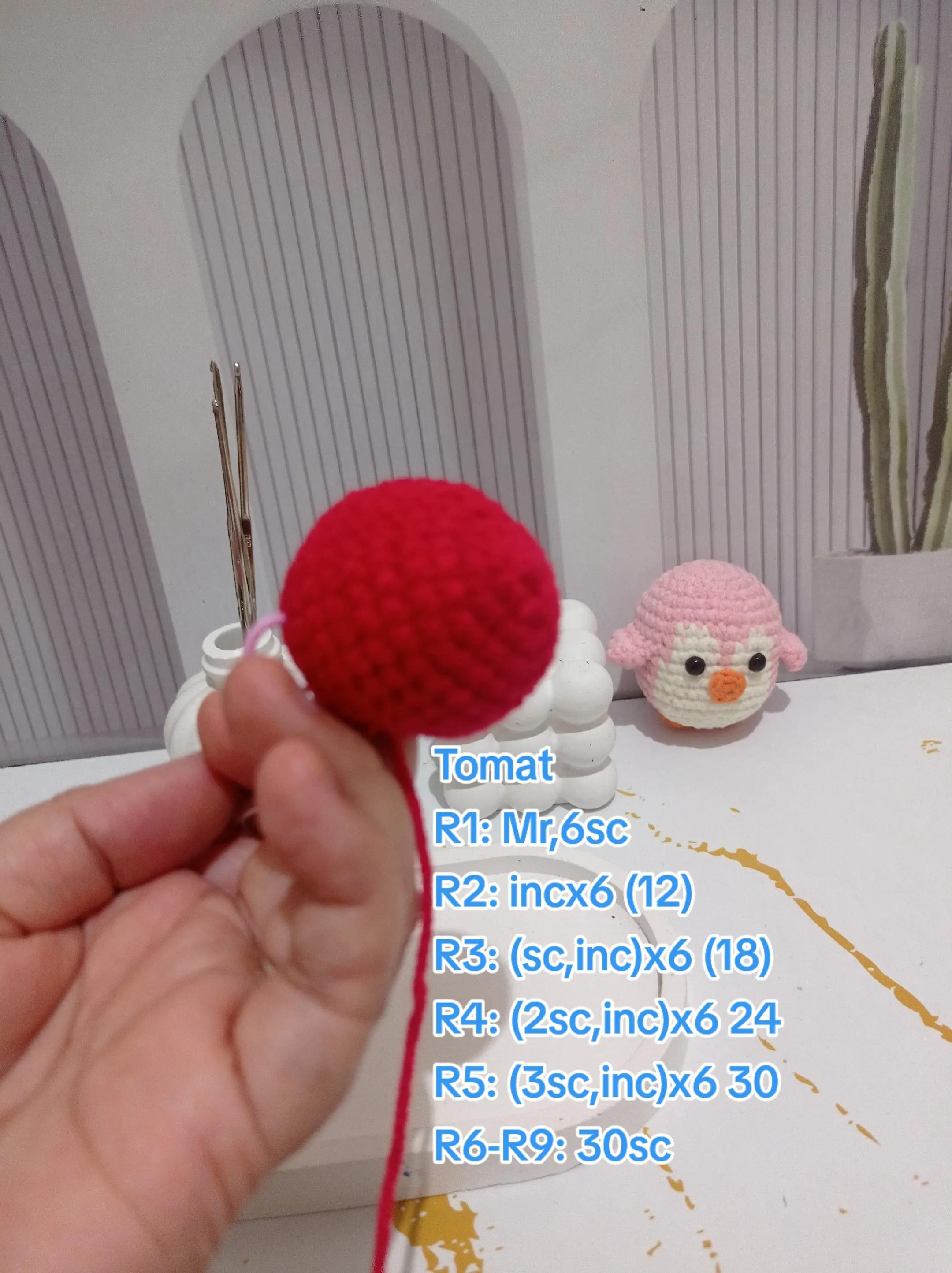 Hướng dẫn móc len quả cà chua đỏ dễ thương đơn giản