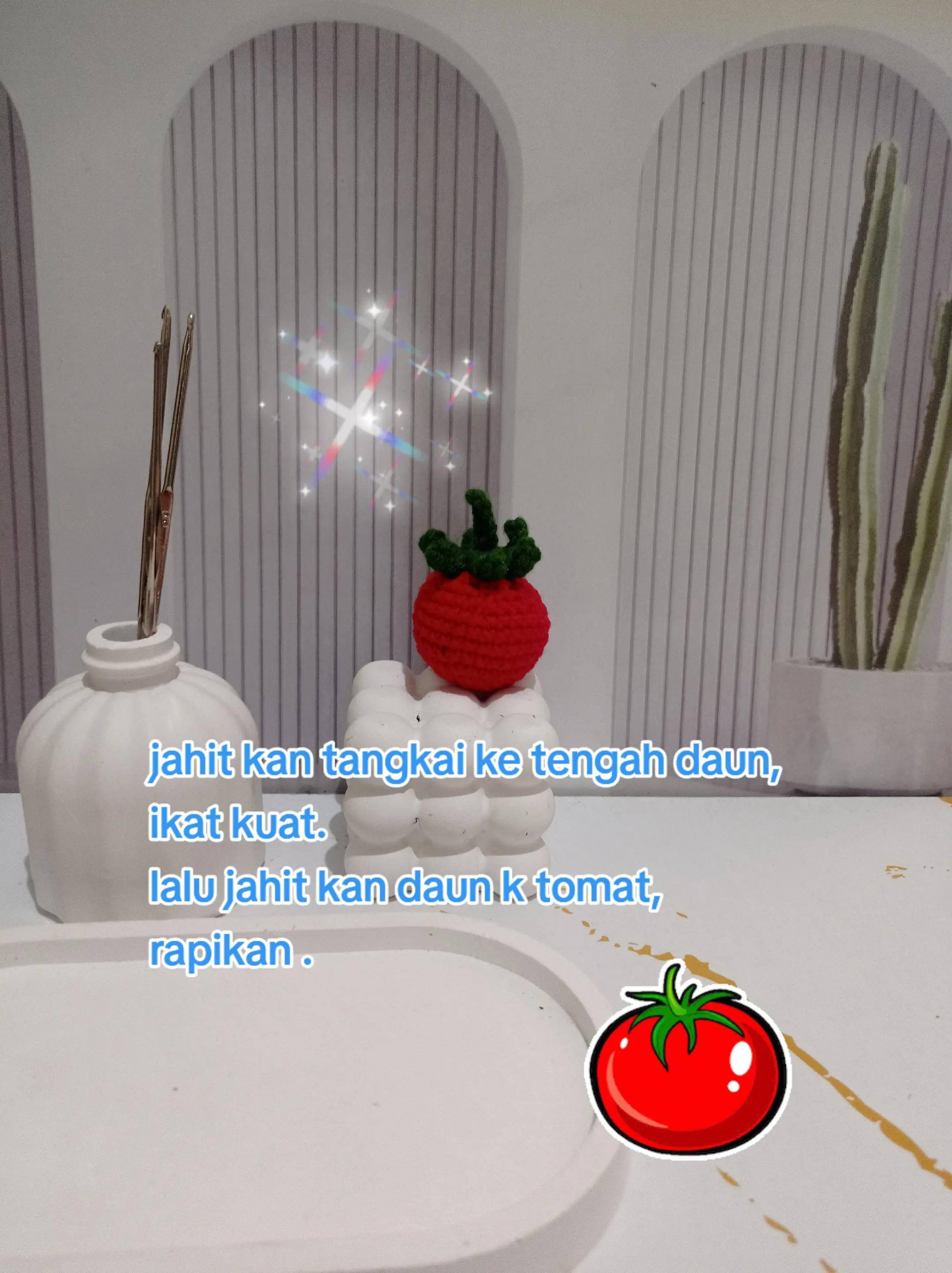 Hướng dẫn móc len quả cà chua đỏ dễ thương đơn giản