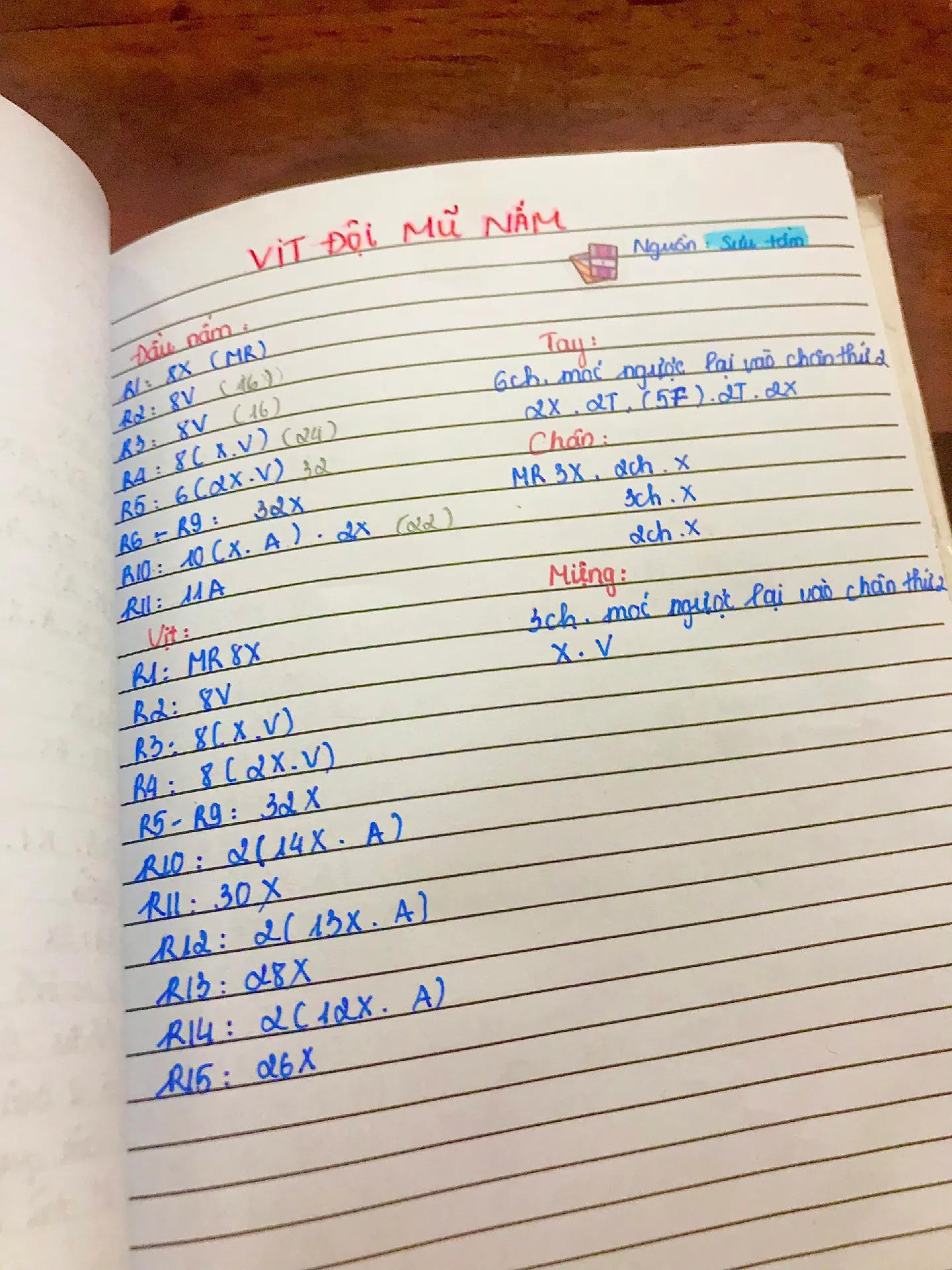 Hướng dẫn móc len vịt đội mũ nấm siêu cute, chart viết tay chi tiết từng hàng