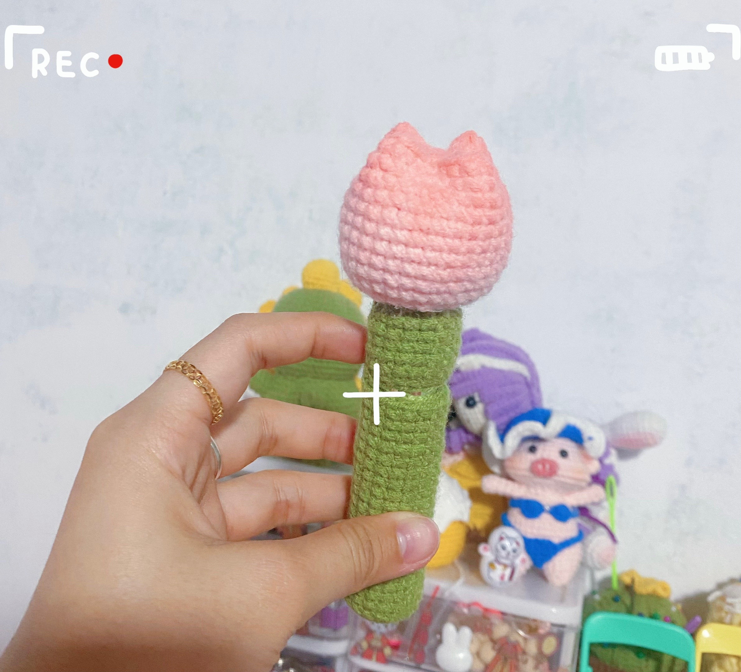 Hướng dẫn móc len vỏ đựng son hình hoa tulip hồng