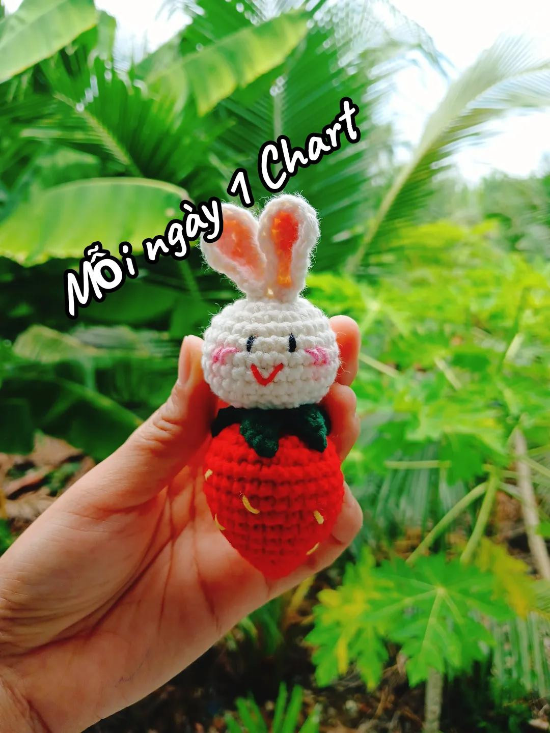 Hướng dẫn móc thỏ dâu dễ thương, chart chi tiết từng hàng