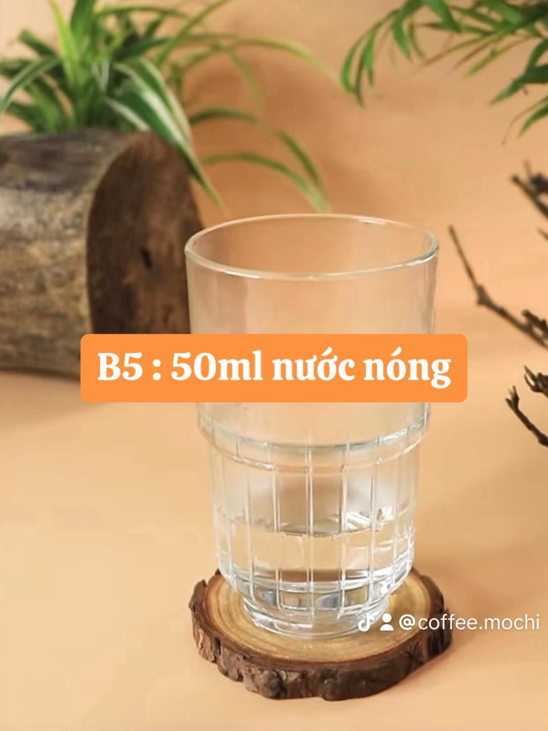 Hướng dẫn pha chế Cà phê sữa dừa mát lạnh với nước cốt dừa và sữa tươi