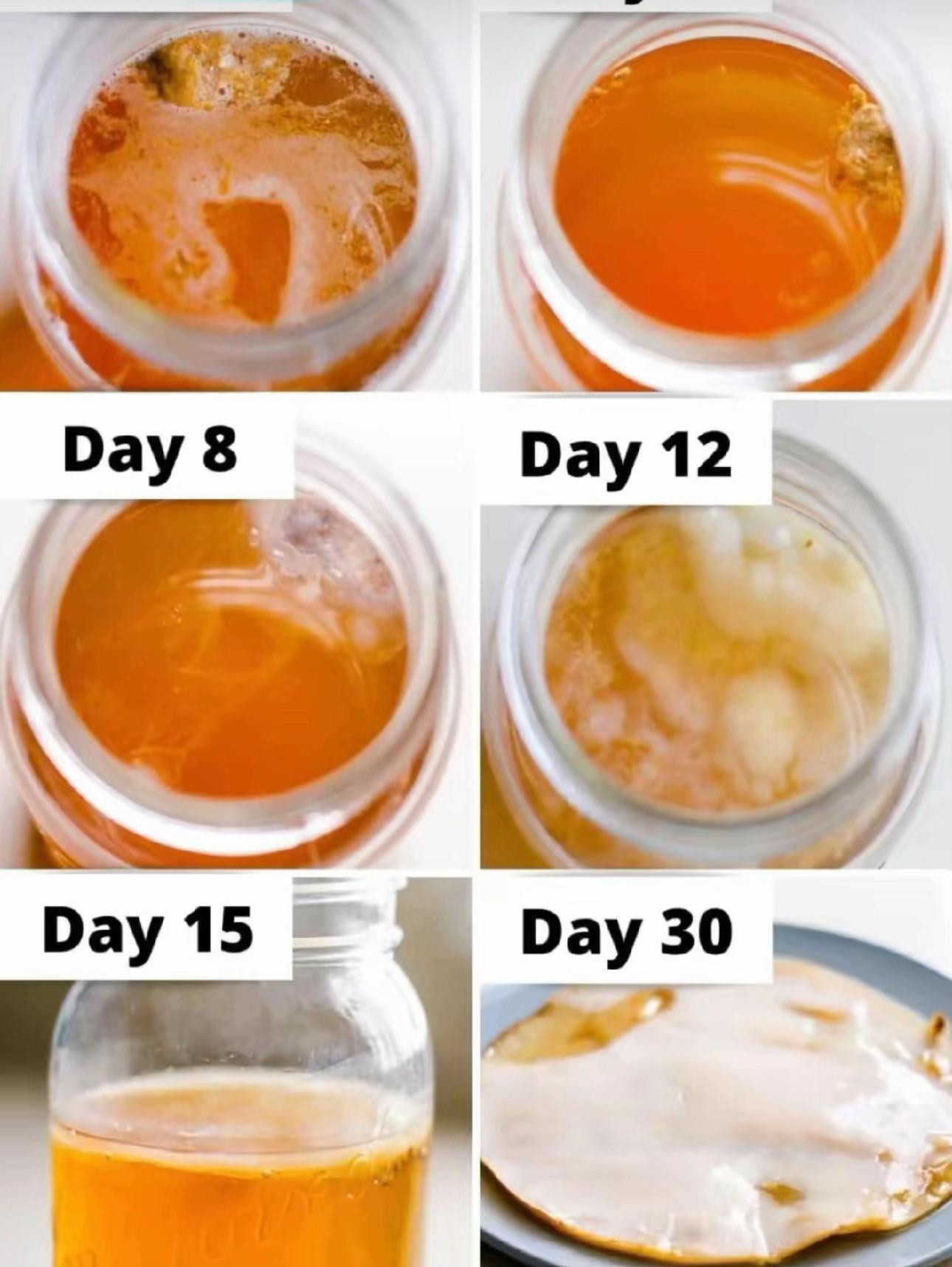 Hướng dẫn tự làm Kombucha tại nhà: Nấu trà đường, ủ men SCOBY và thêm trái cây