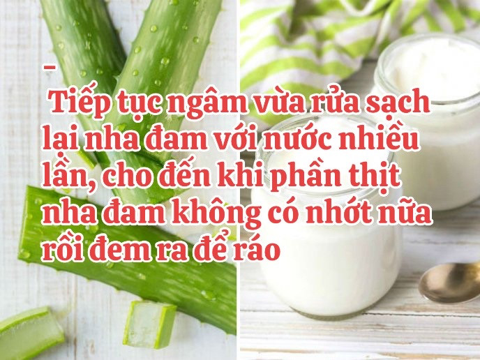 Hướng dẫn tự làm sữa chua nha đam mát lạnh tại nhà
